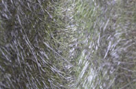 Caversfield fibreglass roof work